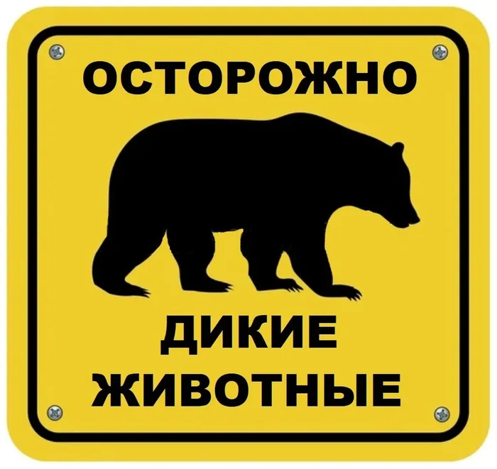 Дикие животные